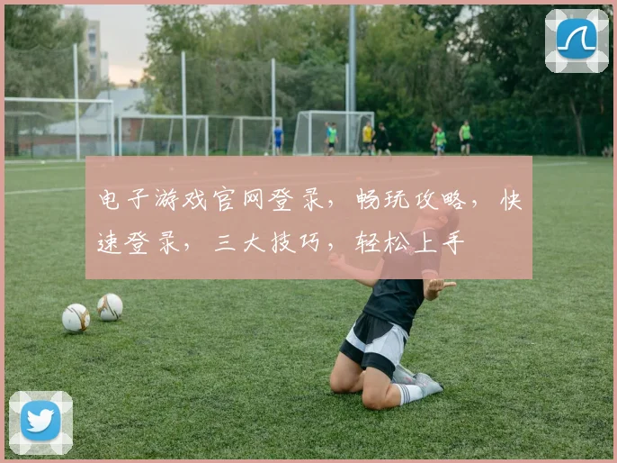 电子游戏官网登录，畅玩攻略，快速登录，三大技巧，轻松上手